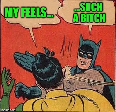 Batman Slapping Robin Meme | MY FEELS... ...SUCH A B**CH | image tagged in memes,batman slapping robin | made w/ Imgflip meme maker
