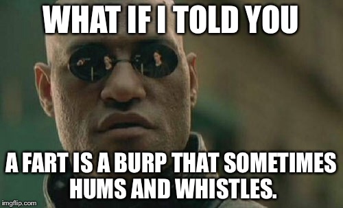 A fart is a burp that sometimes hums and whistles | WHAT IF I TOLD YOU; A FART IS A BURP THAT SOMETIMES HUMS AND WHISTLES. | image tagged in memes,matrix morpheus,fart,flatulence,toilet humor,burp | made w/ Imgflip meme maker