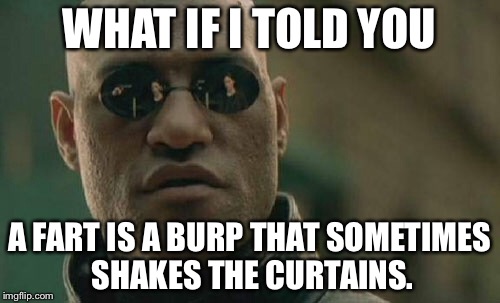 A fart is a burp that sometimes shakes the curtains | WHAT IF I TOLD YOU; A FART IS A BURP THAT SOMETIMES SHAKES THE CURTAINS. | image tagged in memes,matrix morpheus,fart,burp,milkshake,toilet | made w/ Imgflip meme maker