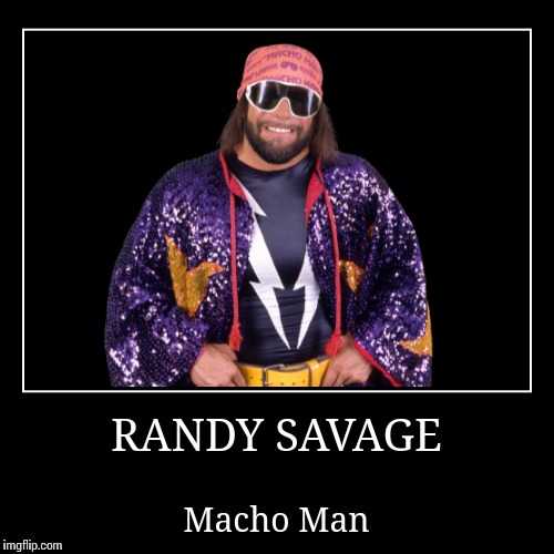 Randy Savage | image tagged in macho man randy savage,wwe | made w/ Imgflip demotivational maker