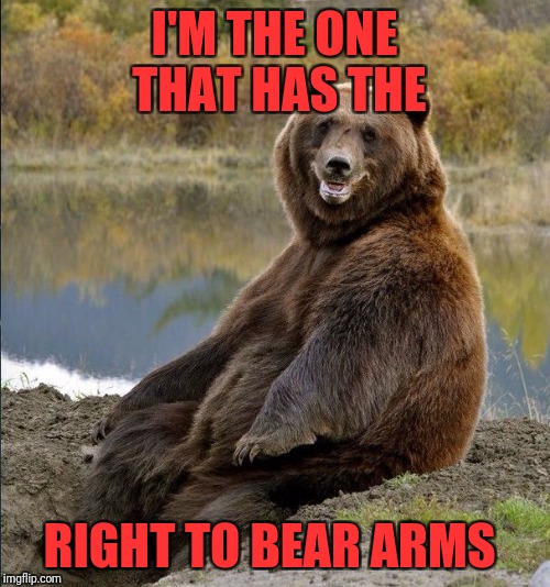 Bear | I'M THE ONE THAT HAS THE; RIGHT TO BEAR ARMS | image tagged in memes,funny memes,funny,bear,dank memes | made w/ Imgflip meme maker