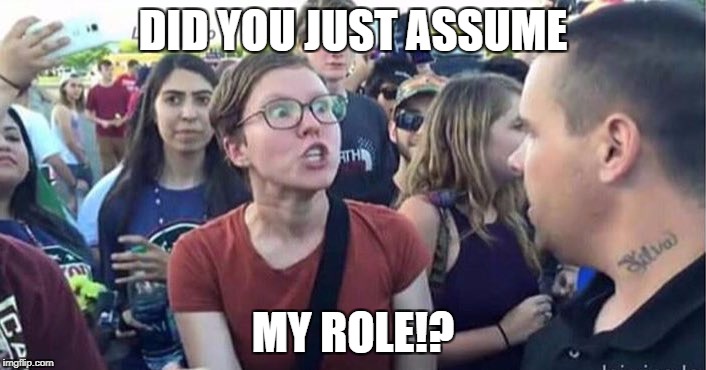 Did you just assume my gender | DID YOU JUST ASSUME; MY ROLE!? | image tagged in did you just assume my gender | made w/ Imgflip meme maker