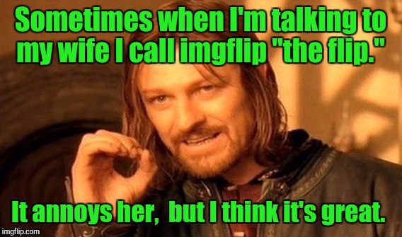 One Does Not Simply Meme | Sometimes when I'm talking to my wife I call imgflip "the flip."; It annoys her,  but I think it's great. | image tagged in memes,one does not simply | made w/ Imgflip meme maker