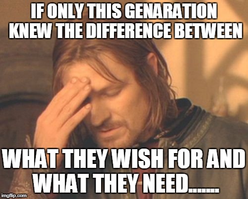 Frustrated Boromir | IF ONLY THIS GENARATION KNEW THE DIFFERENCE BETWEEN; WHAT THEY WISH FOR AND WHAT THEY NEED....... | image tagged in memes,frustrated boromir | made w/ Imgflip meme maker