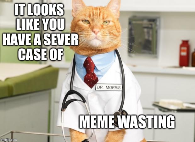 I knew I shouldn't have eaten that cat food.  | IT LOOKS LIKE YOU HAVE A SEVER CASE OF; MEME WASTING | image tagged in cat doctor | made w/ Imgflip meme maker