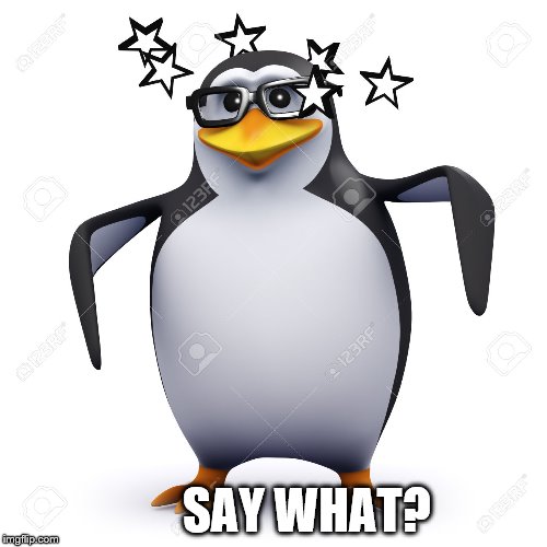 SAY WHAT? | made w/ Imgflip meme maker