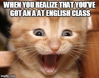 Excited Cat Meme | WHEN YOU REALIZE THAT YOU'VE GOT AN A AT ENGLISH CLASS | image tagged in memes,excited cat | made w/ Imgflip meme maker