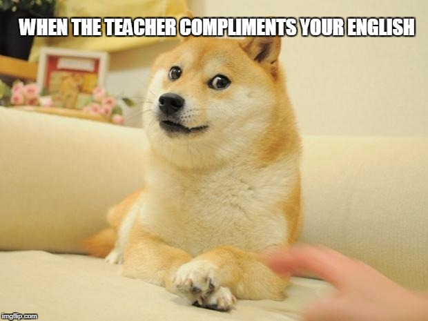 Doge 2 Meme | WHEN THE TEACHER COMPLIMENTS YOUR ENGLISH | image tagged in memes,doge 2 | made w/ Imgflip meme maker