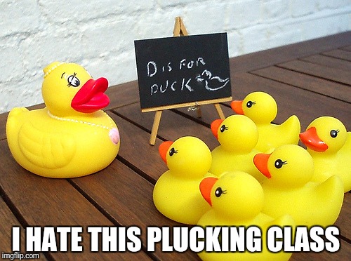 I HATE THIS PLUCKING CLASS | made w/ Imgflip meme maker