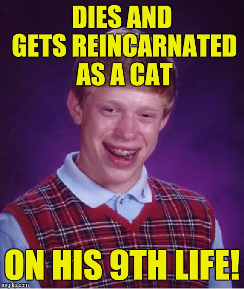 Bad Luck Brian Meme | DIES AND GETS REINCARNATED AS A CAT; ON HIS 9TH LIFE! | image tagged in memes,bad luck brian | made w/ Imgflip meme maker