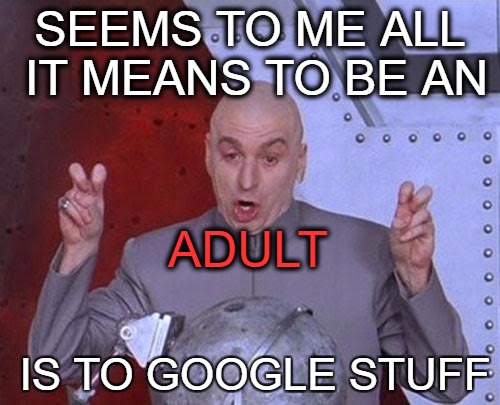 Dr Evil Laser | SEEMS TO ME ALL IT MEANS TO BE AN; ADULT; IS TO GOOGLE STUFF | image tagged in memes,dr evil laser | made w/ Imgflip meme maker