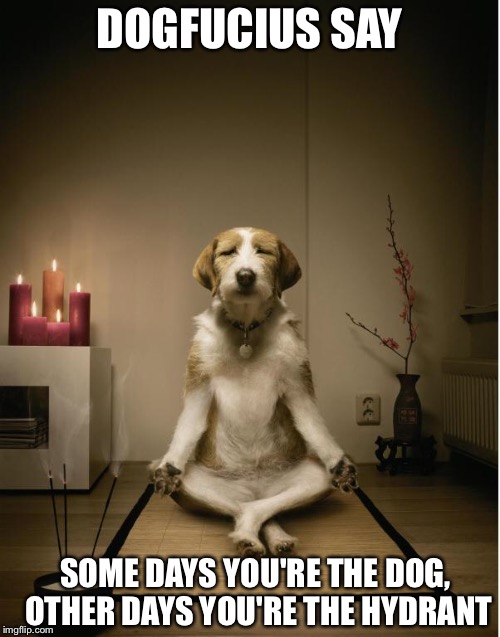 dog meditation funny | DOGFUCIUS SAY; SOME DAYS YOU'RE THE DOG, OTHER DAYS YOU'RE THE HYDRANT | image tagged in dog meditation funny | made w/ Imgflip meme maker