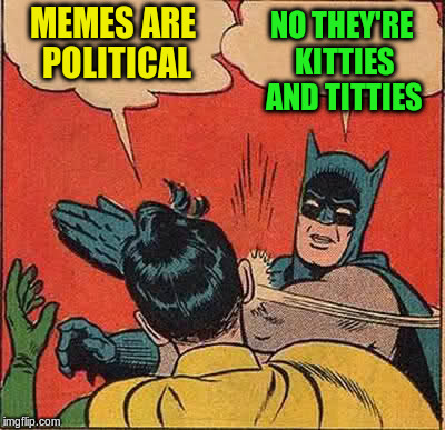 Batman Slapping Robin Meme | MEMES ARE POLITICAL NO THEY'RE KITTIES AND TITTIES | image tagged in memes,batman slapping robin | made w/ Imgflip meme maker
