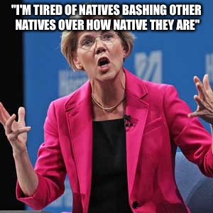 Elizabeth Warren | "I'M TIRED OF NATIVES BASHING OTHER NATIVES OVER HOW NATIVE THEY ARE" | image tagged in elizabeth warren | made w/ Imgflip meme maker