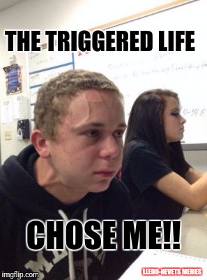 Man triggered at school | THE TRIGGERED LIFE; CHOSE ME!! LLEDO-NEVETS MEMES | image tagged in man triggered at school | made w/ Imgflip meme maker