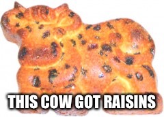 THIS COW GOT RAISINS | made w/ Imgflip meme maker