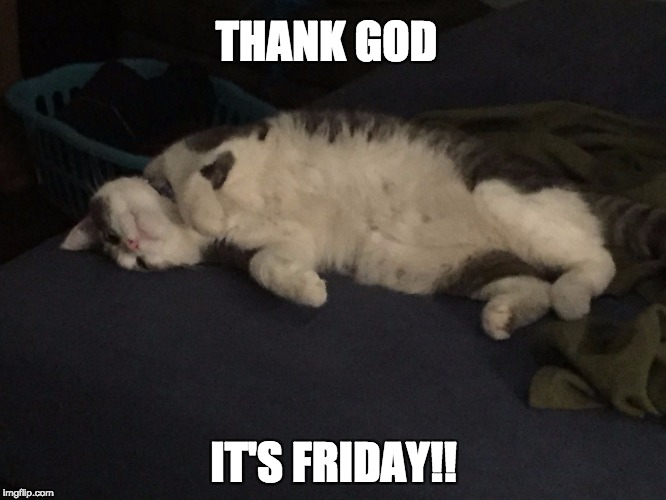 Apollo | THANK GOD; IT'S FRIDAY!! | image tagged in apollo | made w/ Imgflip meme maker