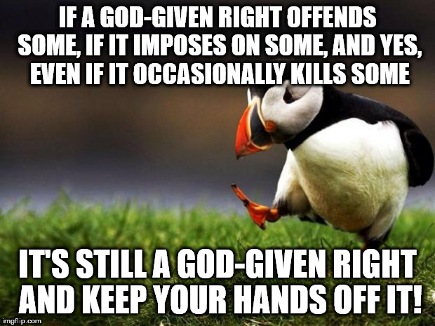 Unpopular Opinion Puffin Meme | IF A GOD-GIVEN RIGHT OFFENDS SOME, IF IT IMPOSES ON SOME, AND YES, EVEN IF IT OCCASIONALLY KILLS SOME; IT'S STILL A GOD-GIVEN RIGHT AND KEEP YOUR HANDS OFF IT! | image tagged in memes,unpopular opinion puffin | made w/ Imgflip meme maker