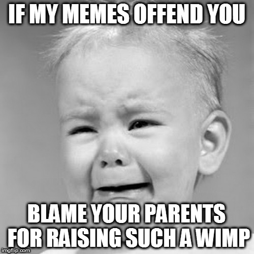IF MY MEMES OFFEND YOU BLAME YOUR PARENTS FOR RAISING SUCH A WIMP | made w/ Imgflip meme maker