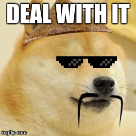 asian doge | DEAL WITH IT | image tagged in asian doge | made w/ Imgflip meme maker