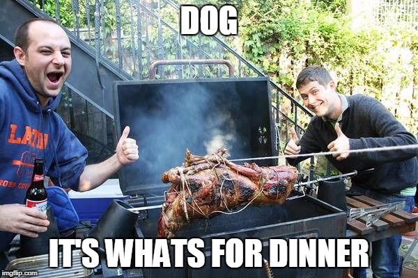 Actually it's goat...at the most awesome tailgate party ever. | DOG; IT'S WHATS FOR DINNER | image tagged in goat | made w/ Imgflip meme maker