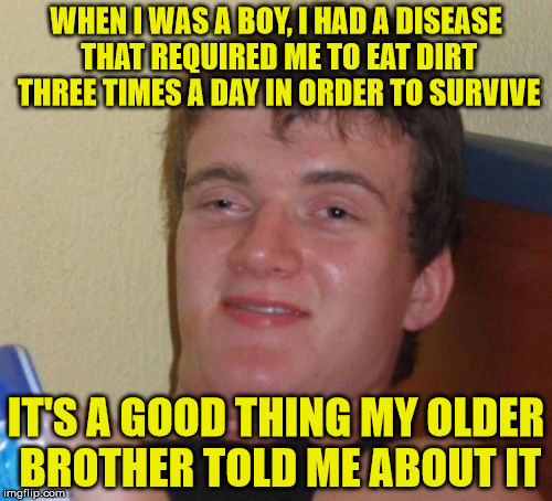 Brothers will always be there for each other . . . well, that's exactly what I'm afraid of. | WHEN I WAS A BOY, I HAD A DISEASE THAT REQUIRED ME TO EAT DIRT THREE TIMES A DAY IN ORDER TO SURVIVE; IT'S A GOOD THING MY OLDER BROTHER TOLD ME ABOUT IT | image tagged in memes,10 guy,big brother,disease,eat dirt | made w/ Imgflip meme maker