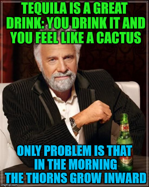 It really must hurt |  TEQUILA IS A GREAT DRINK: YOU DRINK IT AND YOU FEEL LIKE A CACTUS; ONLY PROBLEM IS THAT IN THE MORNING THE THORNS GROW INWARD | image tagged in memes,the most interesting man in the world,tequila,cactus,only problem is,thorns | made w/ Imgflip meme maker