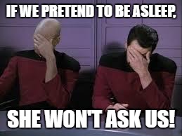 Star Trek Double Facepalm | IF WE PRETEND TO BE ASLEEP, SHE WON'T ASK US! | image tagged in star trek double facepalm | made w/ Imgflip meme maker