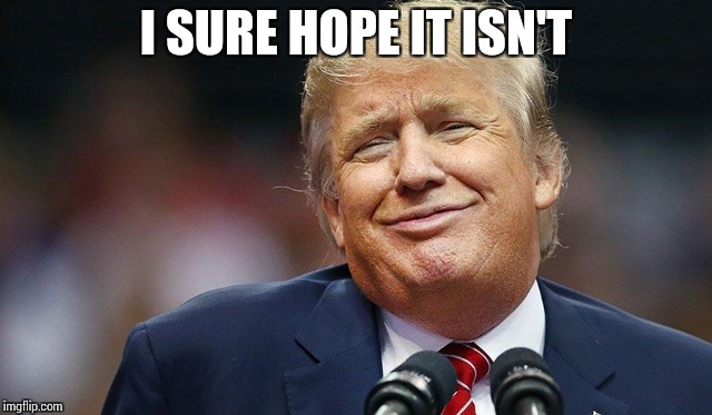 Trump Oopsie | I SURE HOPE IT ISN'T | image tagged in trump oopsie | made w/ Imgflip meme maker
