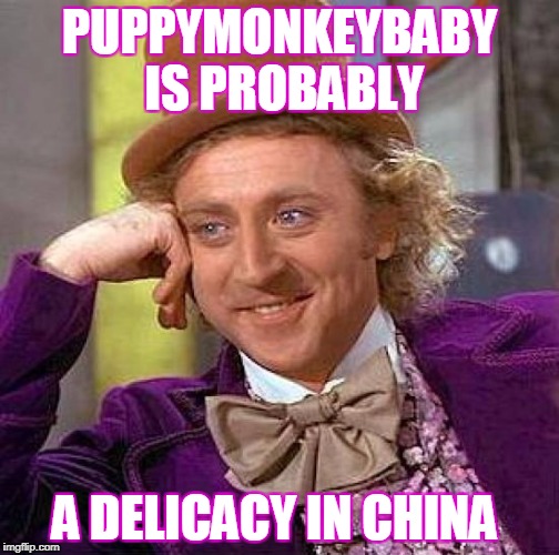 Creepy Condescending Wonka Meme | PUPPYMONKEYBABY IS PROBABLY A DELICACY IN CHINA | image tagged in memes,creepy condescending wonka | made w/ Imgflip meme maker