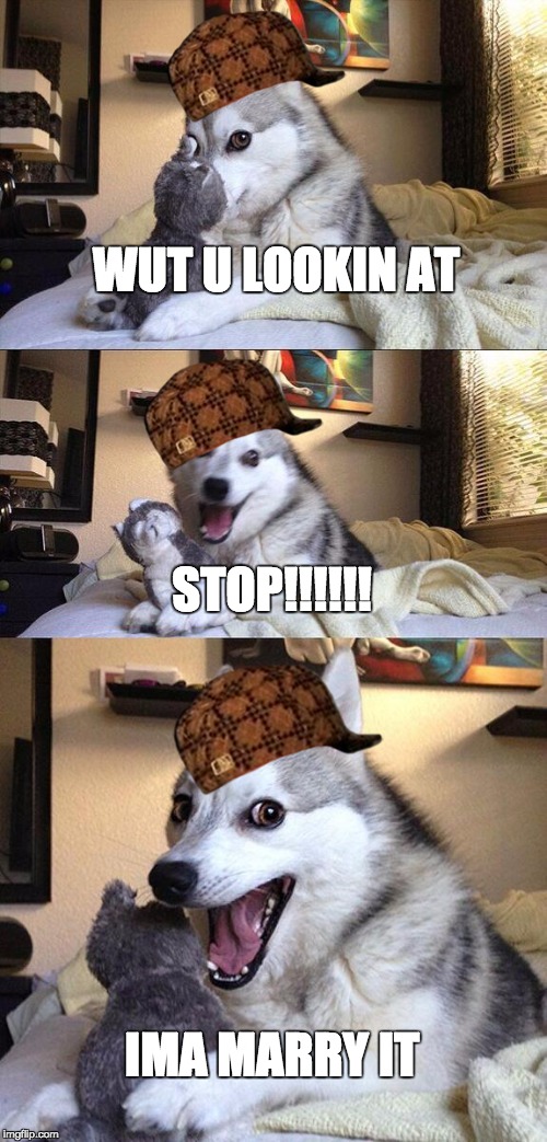 Bad Pun Dog Meme | WUT U LOOKIN AT; STOP!!!!!! IMA MARRY IT | image tagged in memes,bad pun dog,scumbag | made w/ Imgflip meme maker