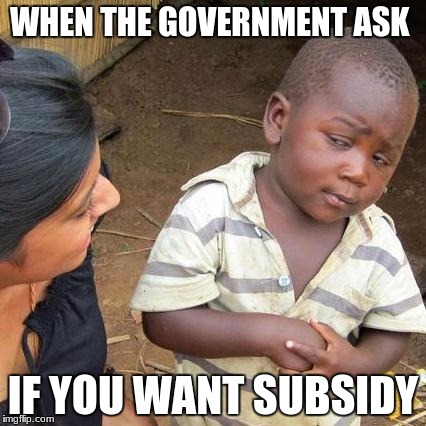 Third World Skeptical Kid | WHEN THE GOVERNMENT ASK; IF YOU WANT SUBSIDY | image tagged in memes,third world skeptical kid | made w/ Imgflip meme maker