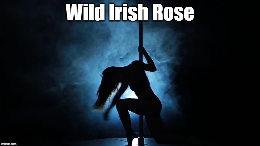 Wild Irish Rose | image tagged in books | made w/ Imgflip meme maker