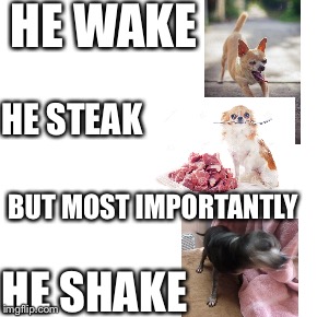 HE WAKE; HE STEAK; BUT MOST IMPORTANTLY; HE SHAKE | made w/ Imgflip meme maker