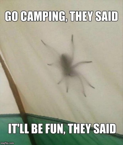 the great outdoors | GO CAMPNG, THEY SAID; IT'LL BE FUN, THEY SAID | image tagged in memes,funny,camping | made w/ Imgflip meme maker