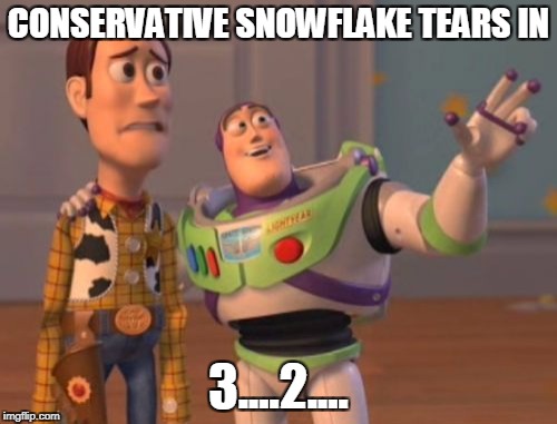 X, X Everywhere | CONSERVATIVE SNOWFLAKE TEARS IN; 3....2.... | image tagged in memes,x x everywhere | made w/ Imgflip meme maker