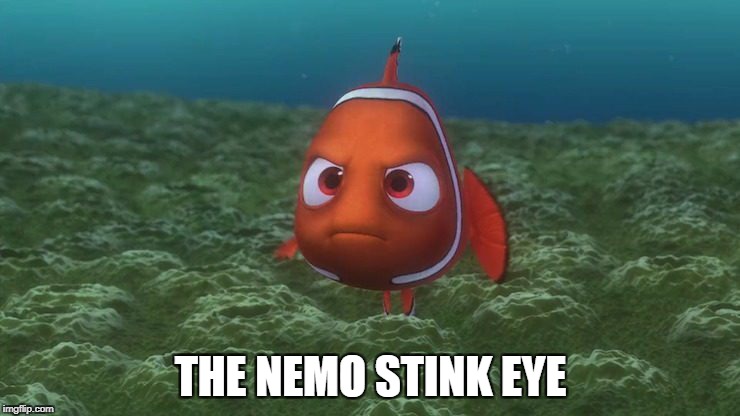 THE NEMO STINK EYE | image tagged in nemo,upset | made w/ Imgflip meme maker
