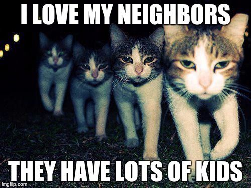 Wrong Neighboorhood Cats | I LOVE MY NEIGHBORS; THEY HAVE LOTS OF KIDS | image tagged in memes,wrong neighboorhood cats | made w/ Imgflip meme maker