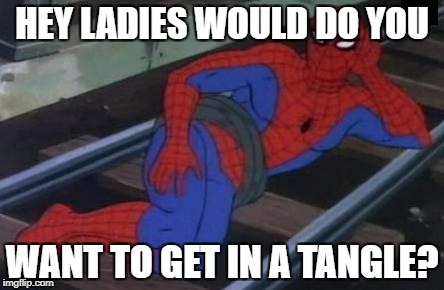 Sexy Railroad Spiderman Meme | HEY LADIES WOULD DO YOU; WANT TO GET IN A TANGLE? | image tagged in memes,sexy railroad spiderman,spiderman | made w/ Imgflip meme maker