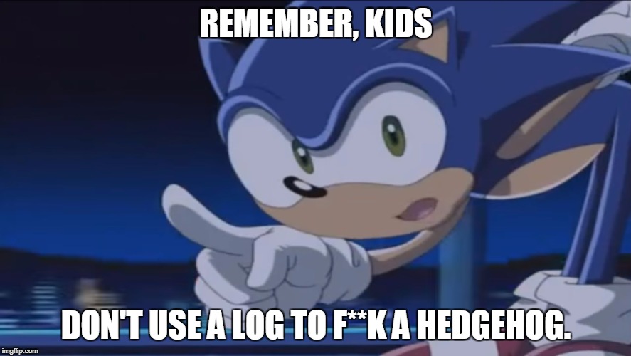 Kids, Don't - Sonic X | REMEMBER, KIDS; DON'T USE A LOG TO F**K A HEDGEHOG. | image tagged in kids don't - sonic x | made w/ Imgflip meme maker