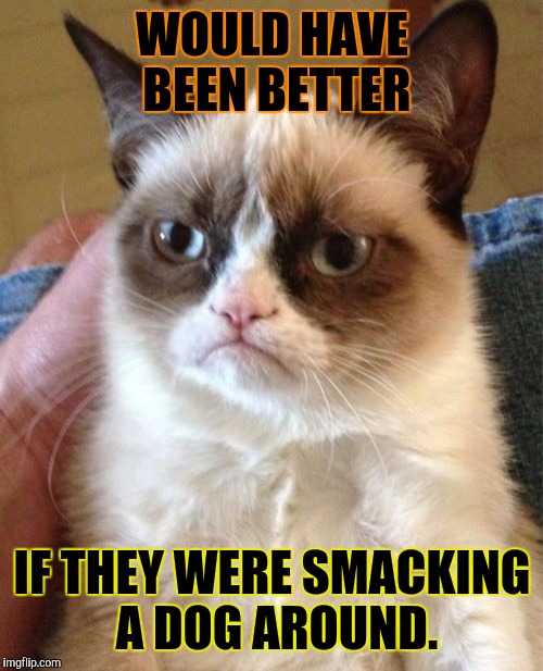 Grumpy Cat Meme | WOULD HAVE BEEN BETTER IF THEY WERE SMACKING A DOG AROUND. | image tagged in memes,grumpy cat | made w/ Imgflip meme maker