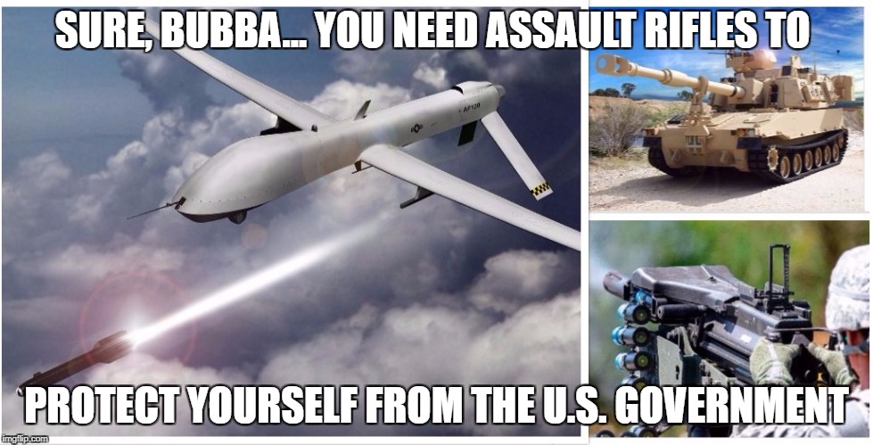 Firepower | SURE, BUBBA... YOU NEED ASSAULT RIFLES TO; PROTECT YOURSELF FROM THE U.S. GOVERNMENT | image tagged in 2ndamendment | made w/ Imgflip meme maker
