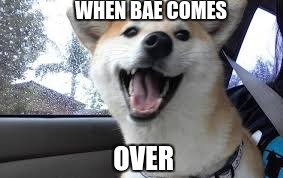 When bae comes over | WHEN BAE COMES; OVER | image tagged in bae,doge,smash | made w/ Imgflip meme maker