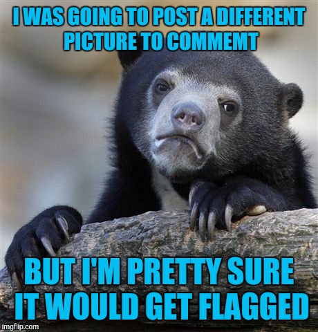 Confession Bear Meme | I WAS GOING TO POST A DIFFERENT PICTURE TO COMMEMT BUT I'M PRETTY SURE IT WOULD GET FLAGGED | image tagged in memes,confession bear | made w/ Imgflip meme maker