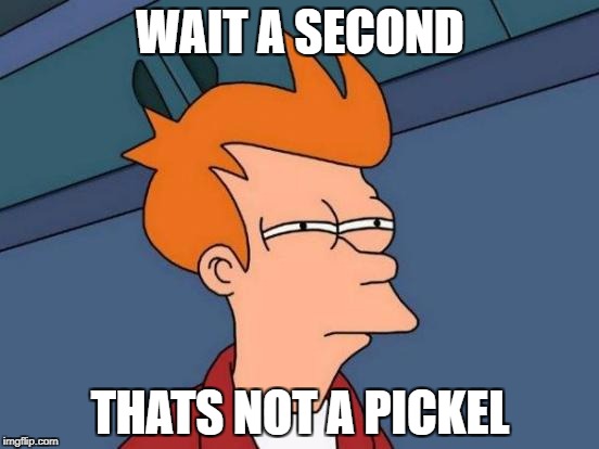 Futurama Fry Meme | WAIT A SECOND; THATS NOT A PICKEL | image tagged in memes,futurama fry | made w/ Imgflip meme maker