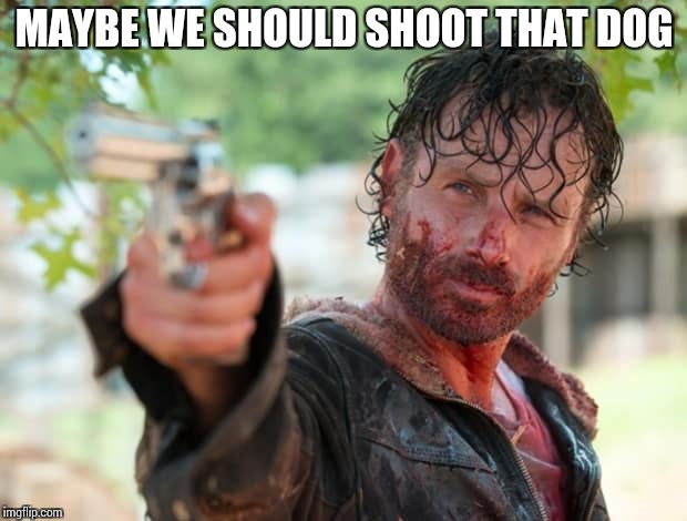 Helping those Voting Zombies | MAYBE WE SHOULD SHOOT THAT DOG | image tagged in memes,funny | made w/ Imgflip meme maker