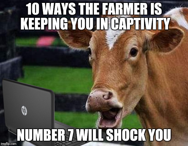 Bessie Finds The Internet | 10 WAYS THE FARMER IS KEEPING YOU IN CAPTIVITY; NUMBER 7 WILL SHOCK YOU | image tagged in memes,number 7 will shock you,farmers,cows | made w/ Imgflip meme maker
