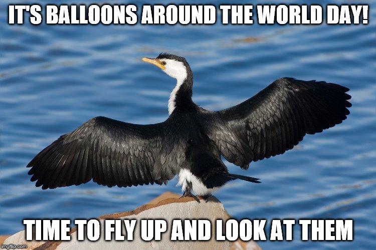 Duckguin | IT'S BALLOONS AROUND THE WORLD DAY! TIME TO FLY UP AND LOOK AT THEM | image tagged in duckguin | made w/ Imgflip meme maker