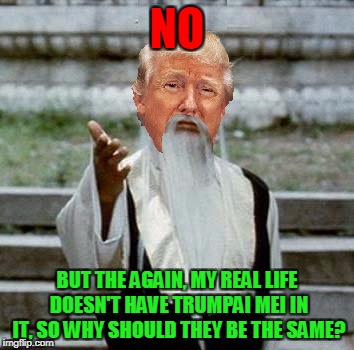 Trumpai Mei | NO BUT THE AGAIN, MY REAL LIFE DOESN'T HAVE TRUMPAI MEI IN IT, SO WHY SHOULD THEY BE THE SAME? | image tagged in trumpai mei | made w/ Imgflip meme maker