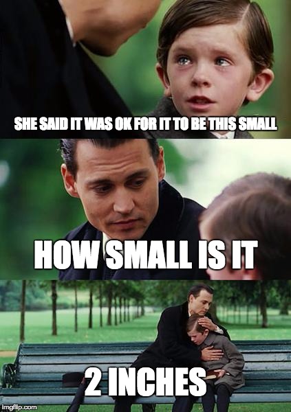 Finding Neverland Meme | SHE SAID IT WAS OK FOR IT TO BE THIS SMALL; HOW SMALL IS IT; 2 INCHES | image tagged in memes,finding neverland | made w/ Imgflip meme maker
